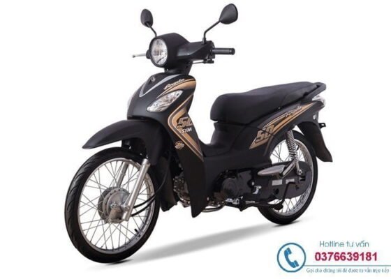 thay bình ắc quy xe ANGELA