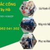 TOP 10 Công Ty Thông Tắc Cống Quận Tây Hồ Trung Hiếu Uy Tín, Giá Thành Rẻ
