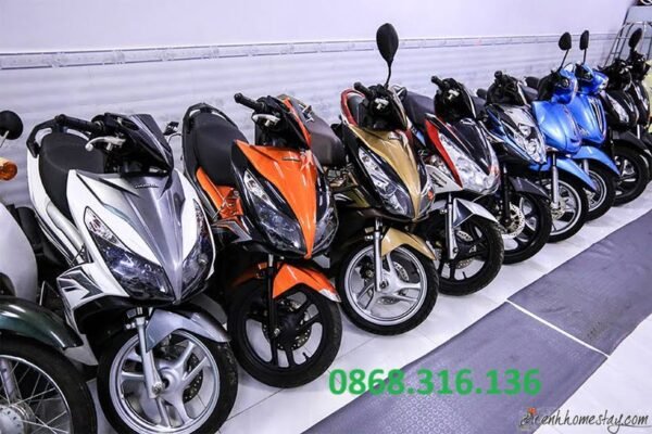 CHO THUÊ XE MÁY QUẬN 1