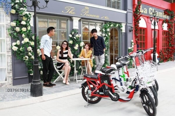sửa xe đạp điện huyện cờ đỏ