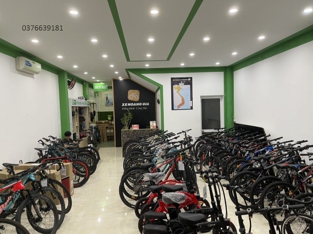 sửa xe đạp điện huyện thới lai